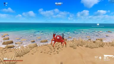 أسعار مفاتيح سي دي Crab Champions