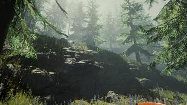 مقارنة سعر The Forest 