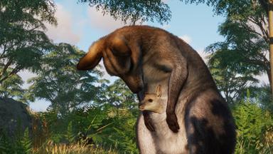 مقارنة سعر Planet Zoo: Grasslands Animal Pack 