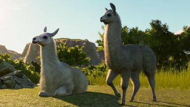 أسعار مفاتيح سي دي Planet Zoo: South America Pack للكمبويتر