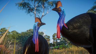 مقارنة سعر Planet Zoo: Australia Pack 
