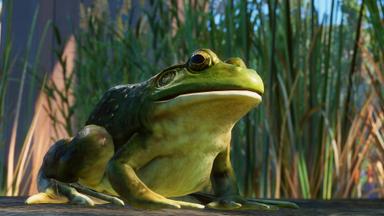 أسعار مفاتيح سي دي Planet Zoo: North America Animal Pack