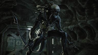 أسعار مفاتيح سي دي Aliens: Fireteam Elite للكمبويتر