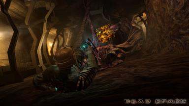 أسعار مفاتيح سي دي Dead Space (2008)