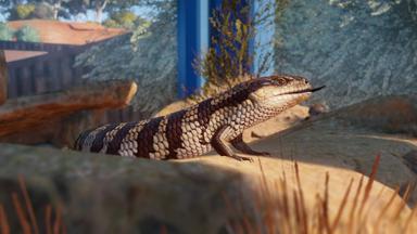 أسعار مفاتيح سي دي Planet Zoo: Australia Pack