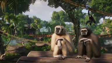 مقارنة سعر Planet Zoo: Tropical Pack 