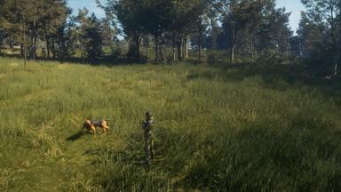 أسعار مفاتيح سي دي theHunter: Call of the Wild™ - Bloodhound للكمبويتر