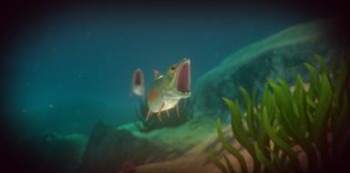 Feed and Grow: Fish