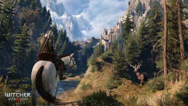 أسعار مفاتيح سي دي The Witcher® 3: Wild Hunt