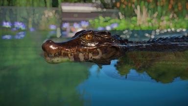 مقارنة سعر Planet Zoo: Aquatic Pack 