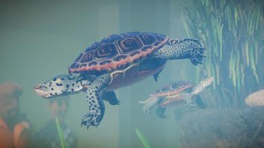 أسعار مفاتيح سي دي Planet Zoo: Aquatic Pack
