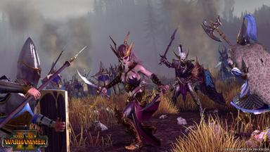 أسعار مفاتيح سي دي Total War: WARHAMMER II للكمبويتر