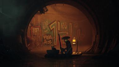 أسعار مفاتيح سي دي Stray