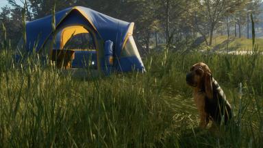 أسعار مفاتيح سي دي theHunter: Call of the Wild™ - Bloodhound