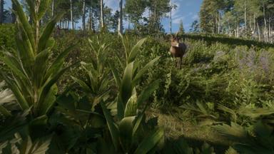مقارنة سعر theHunter: Call of the Wild™ - Silver Ridge Peaks 