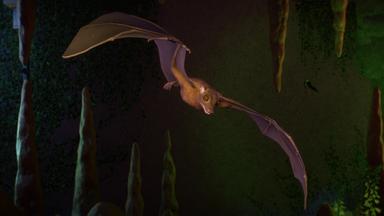 أسعار مفاتيح سي دي Planet Zoo: Twilight Pack