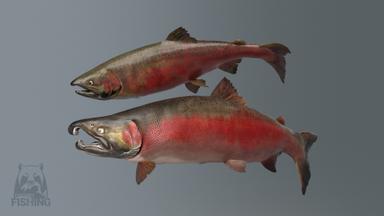 Russian Fishing 4