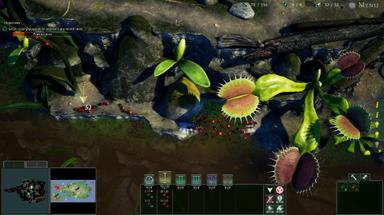 Empires of the Undergrowth
