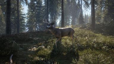 أسعار مفاتيح سي دي theHunter: Call of the Wild™