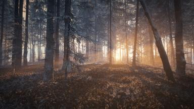 أسعار مفاتيح سي دي theHunter: Call of the Wild™ - Medved-Taiga للكمبويتر