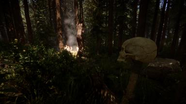 أسعار مفاتيح سي دي Sons Of The Forest للكمبويتر