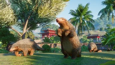 أسعار مفاتيح سي دي Planet Zoo