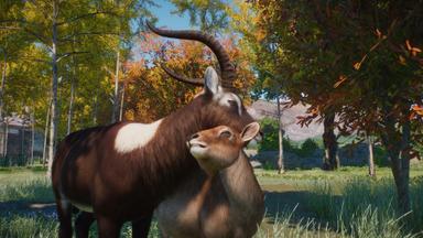 Planet Zoo: Wetlands Animal Pack