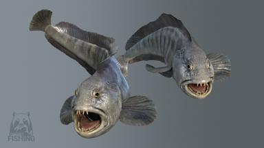 Russian Fishing 4