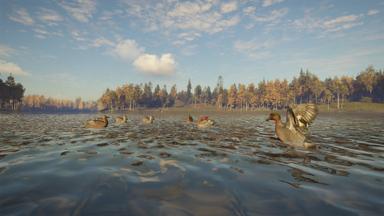 أسعار مفاتيح سي دي theHunter: Call of the Wild™ - Revontuli Coast