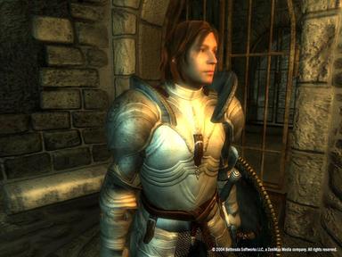 أسعار مفاتيح سي دي The Elder Scrolls IV: Oblivion® Game of the Year Edition للكمبويتر