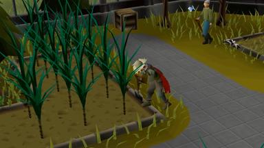 أسعار مفاتيح سي دي Old School RuneScape للكمبويتر