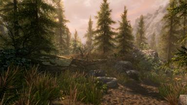 أسعار مفاتيح سي دي The Elder Scrolls V: Skyrim Special Edition