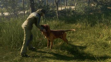 مقارنة سعر theHunter: Call of the Wild™ - Bloodhound 